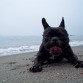 Franco posando en la playa 